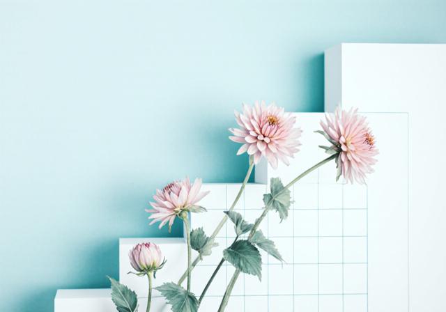 Concetto di crescita strategica e fiori